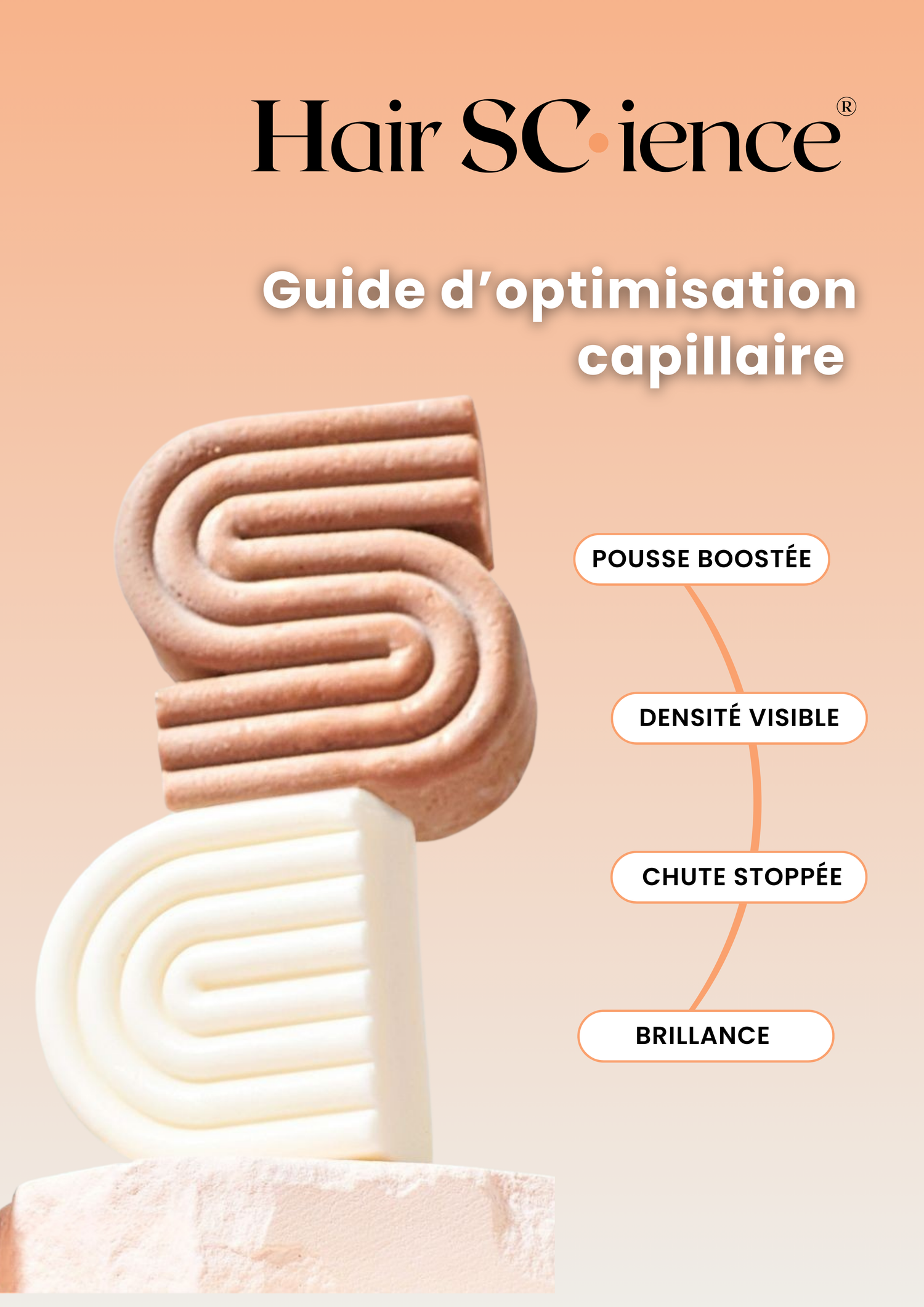 Pack shampoing solide cheveux mangifique