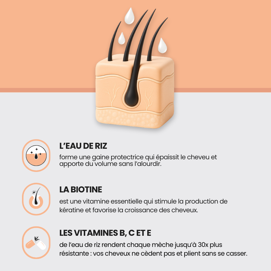 Shampoing et après shampoing pousse des cheveux 